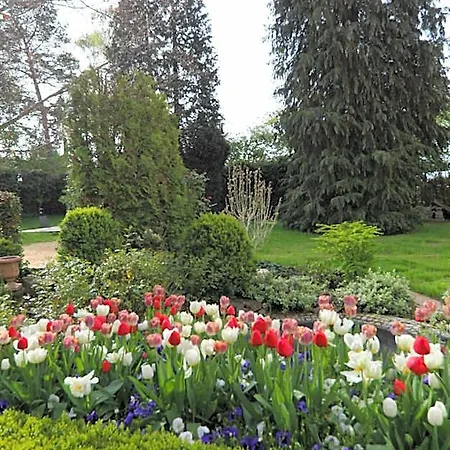 Hotel Weinlaube