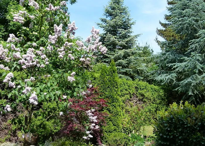 Weinlaube ホテル 3*