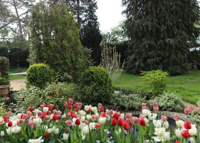 Weinlaube 3* コブレンツ